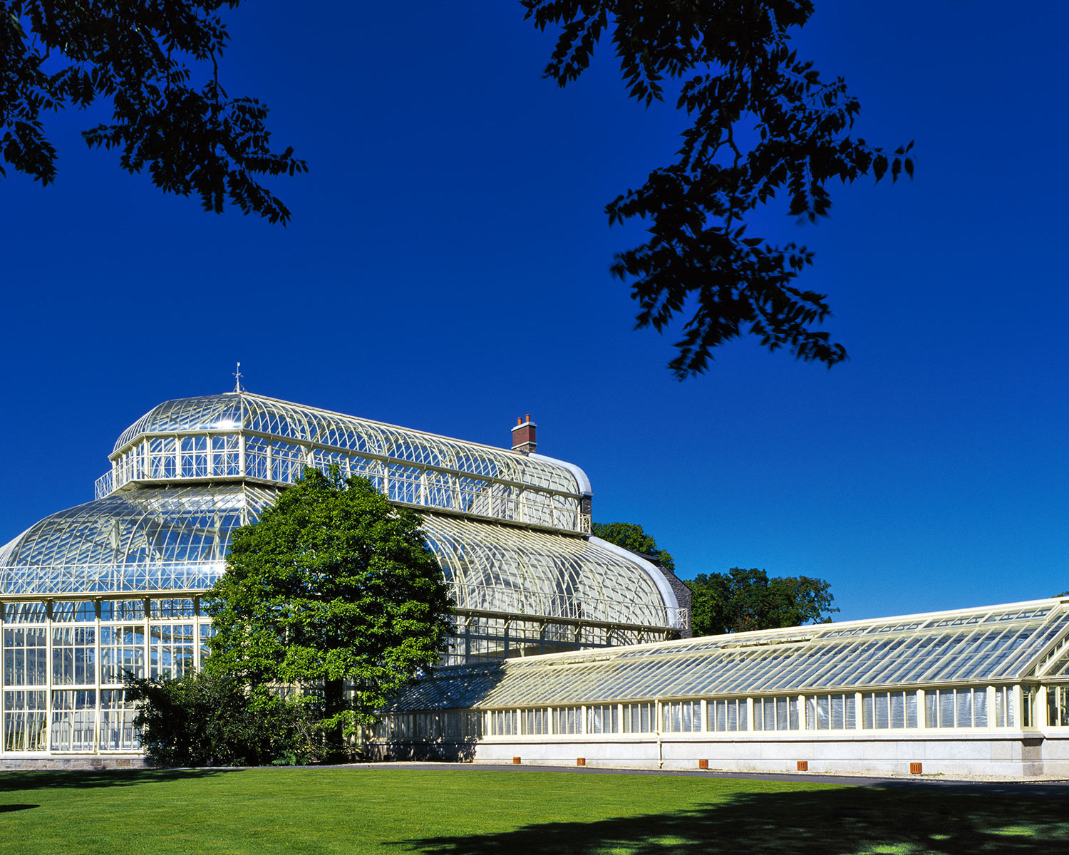 Restoration of Palm House, National Botanic Gardens