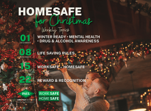 HomeSafe for Christmas